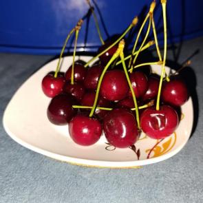 ����: ���������