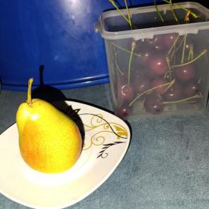 ����: ������ ��