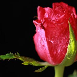 ����: 