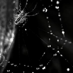 ���� ��������: ���� � �����