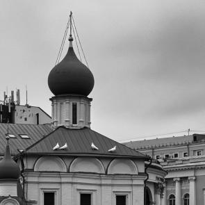 ���� ��������: 