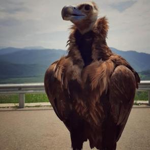 ����: ���� �����