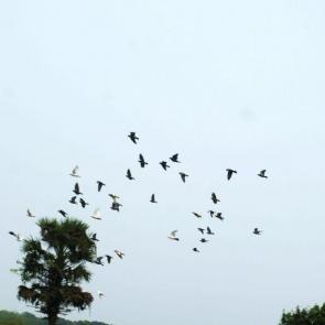 ����: ����� ������� �� ��
