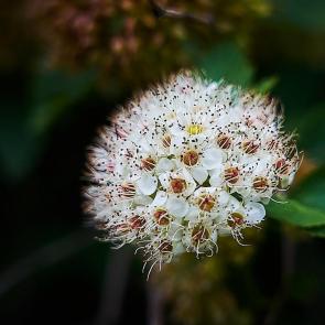 ����: 
