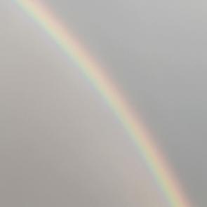 ����: 