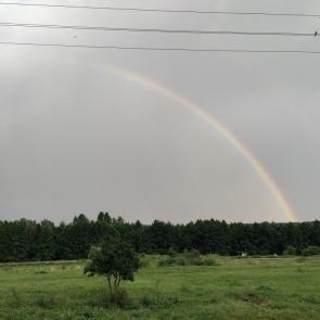 ���� ��������: 