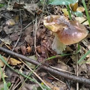 ����: ����� � ���� 