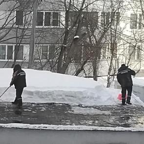 ����: ������ �����, ���������� ����