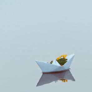 ����: �����