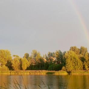 ���� ��������: 