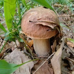 ����: � ������