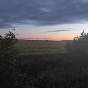 ���� ��������: 