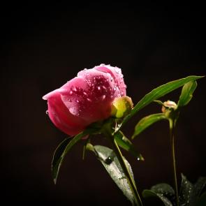 ����: ������� ������� � ������