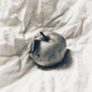 ����: ����