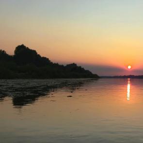 ���� ��������: ���� ���