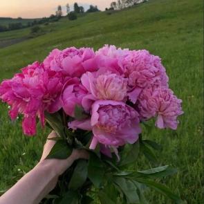����: 