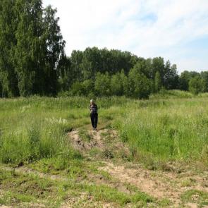 ����: ��������