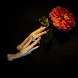����: 