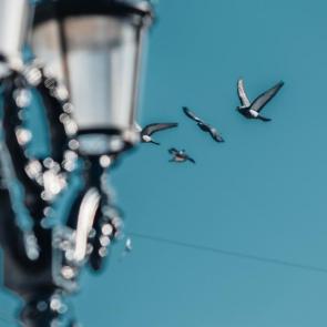 ����: ���� ��� �������