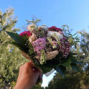 ����: ����