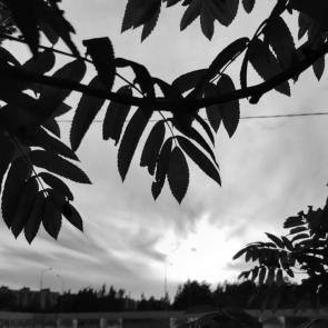 ���� ��������: ������