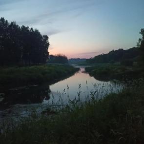 ���� ��������: ��������