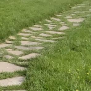 ����: 