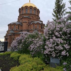 ����: 