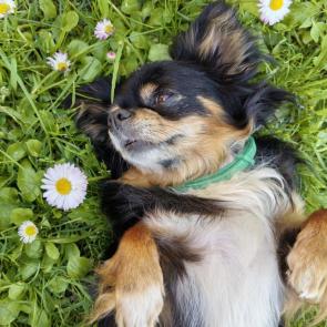 ����: ����, �� ����!