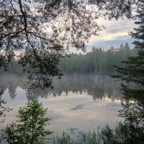 ���� ��������: 