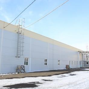 ����: ������