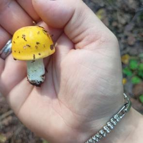 ����: � ��� � �� ���, ������ ��, ���������)