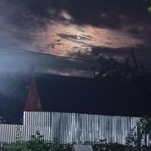 ����: ������ ����
