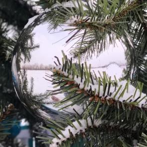 ����: 