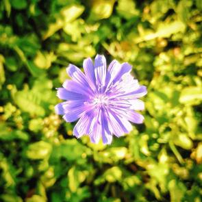 ����: �������
