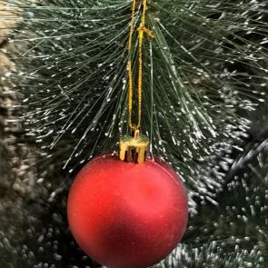 ����: �����