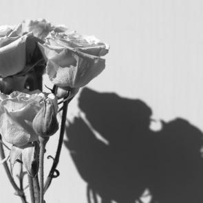 ����: ����