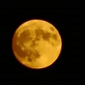 ����: ����