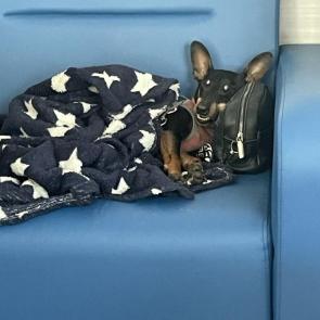 ����: �� ������