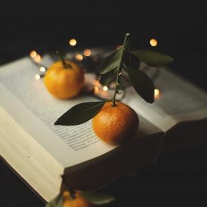 ����: ������ �������