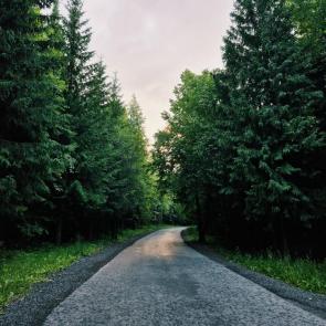 ����: ������� �����