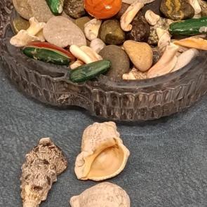 ����: ������� �����������