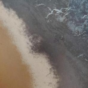����: �����