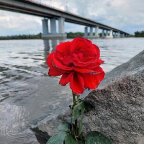 ����: 