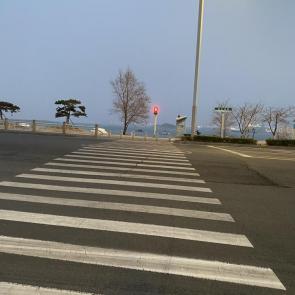����: �����