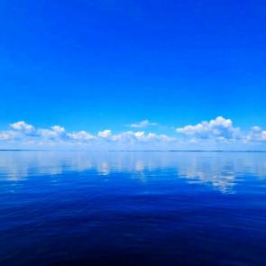 ����: 