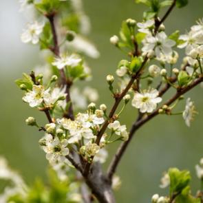 ����: �������� ����� 