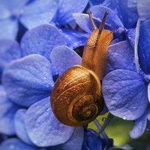 ���� ��������: 