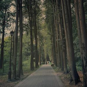 ����: 