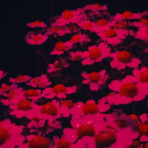 ����: 